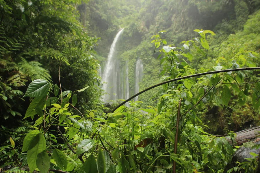naturaleza hondureña